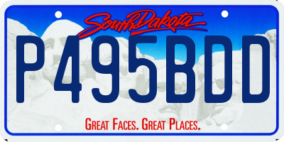 SD license plate P495BDD