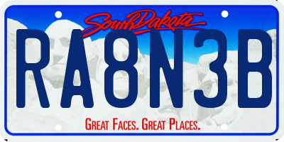 SD license plate RA8N3B