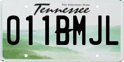 TN license plate 011BMJL