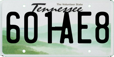 TN license plate 601AE8