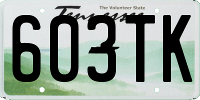 TN license plate 603TK