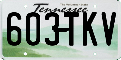 TN license plate 603TKV