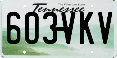 TN license plate 603VKV