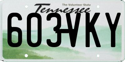 TN license plate 603VKY
