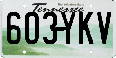 TN license plate 603YKV