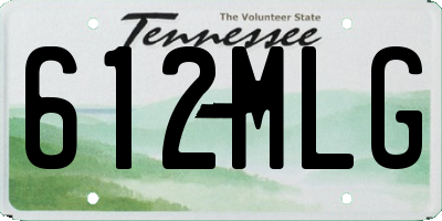 TN license plate 612MLG