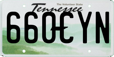 TN license plate 660CYN