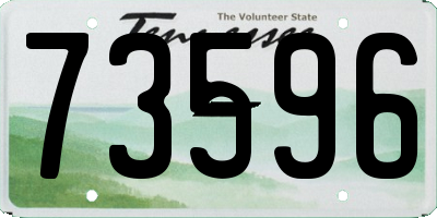 TN license plate 73596