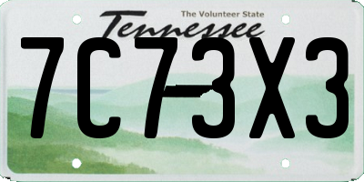 TN license plate 7C73X3