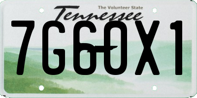 TN license plate 7G60X1
