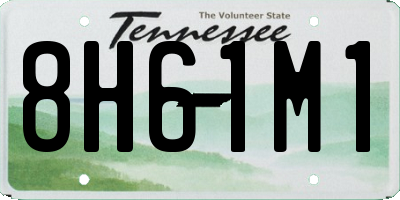 TN license plate 8H61M1