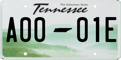 TN license plate A0001E