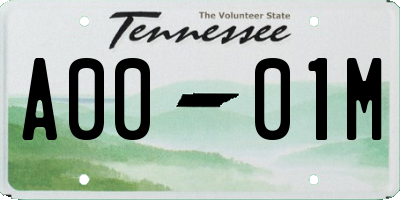 TN license plate A0001M