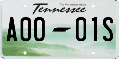 TN license plate A0001S