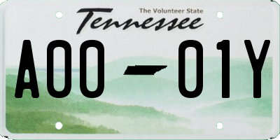 TN license plate A0001Y