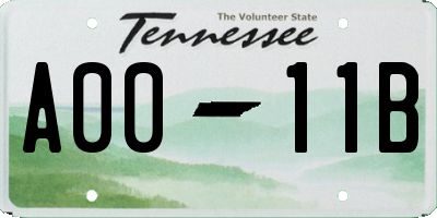 TN license plate A0011B