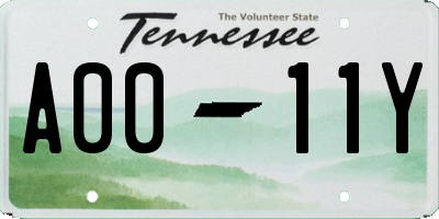 TN license plate A0011Y