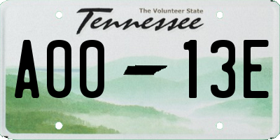 TN license plate A0013E