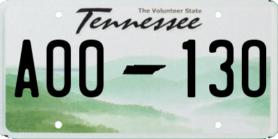 TN license plate A0013O