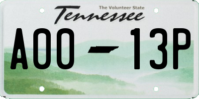 TN license plate A0013P