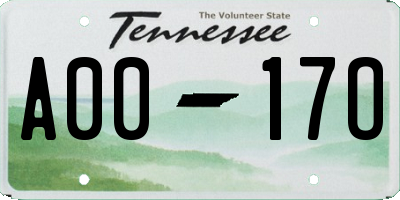 TN license plate A0017O