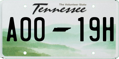 TN license plate A0019H