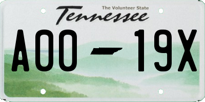 TN license plate A0019X