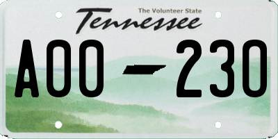 TN license plate A0023O