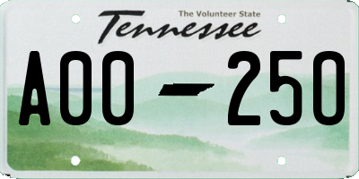 TN license plate A0025O