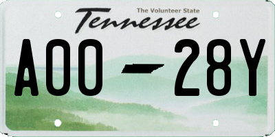 TN license plate A0028Y