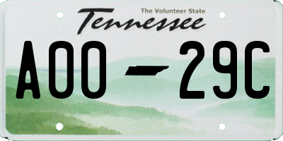 TN license plate A0029C