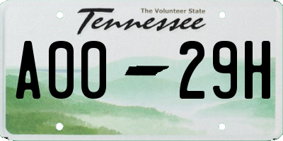 TN license plate A0029H
