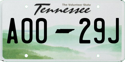 TN license plate A0029J