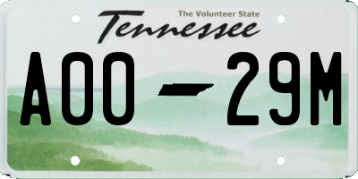 TN license plate A0029M
