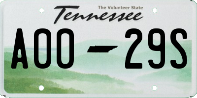 TN license plate A0029S