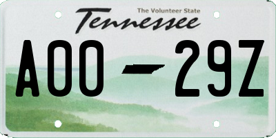 TN license plate A0029Z