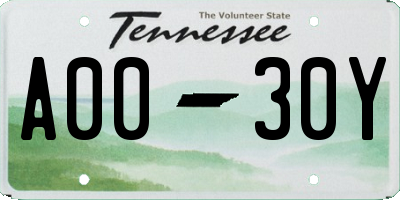 TN license plate A0030Y