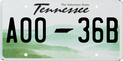 TN license plate A0036B