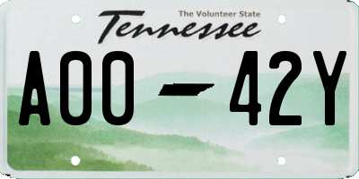 TN license plate A0042Y