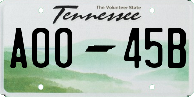 TN license plate A0045B