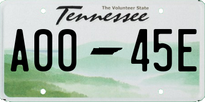 TN license plate A0045E