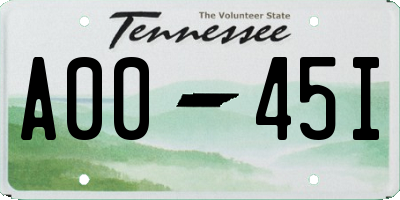 TN license plate A0045I