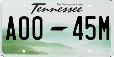 TN license plate A0045M