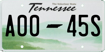 TN license plate A0045S