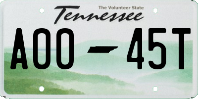 TN license plate A0045T