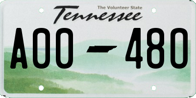 TN license plate A0048O