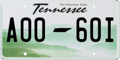 TN license plate A0060I