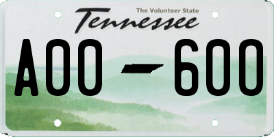 TN license plate A0060O