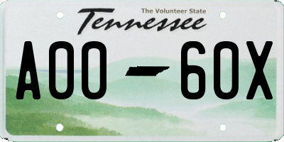 TN license plate A0060X
