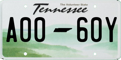 TN license plate A0060Y